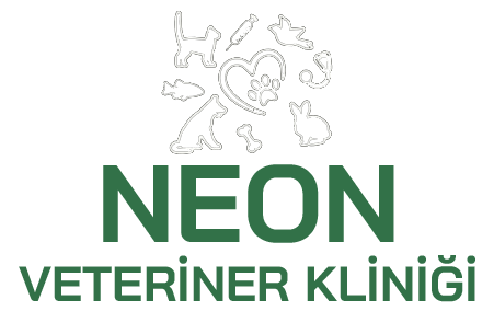 Neon Veterinerlik